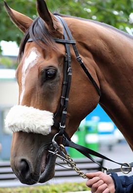 Cork 2nd AUGUST 2016